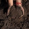 Pfas-test Grond Aarde