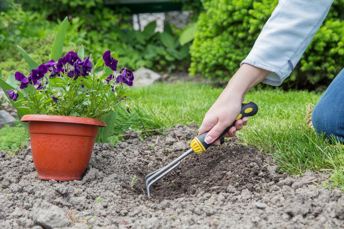 Pfas testen grond