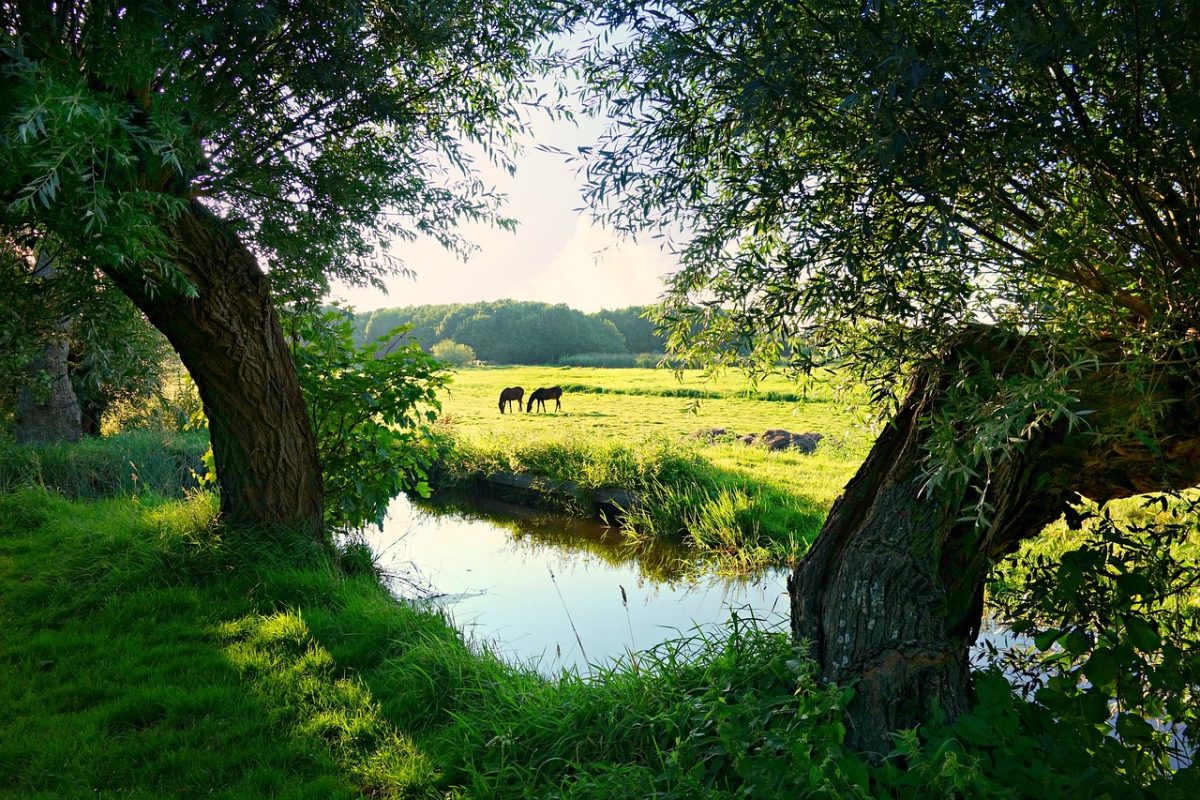 Landelijk PFAS-verbod